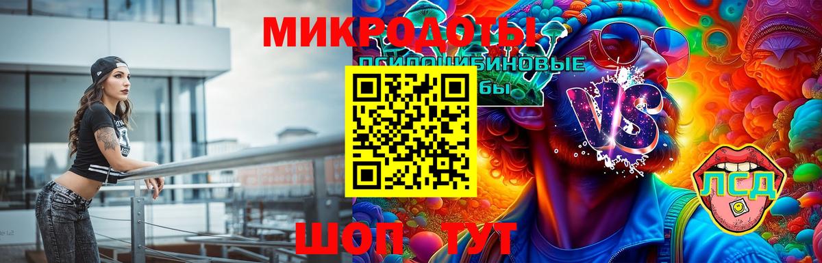 Галлюциногенные грибы Psilocybe Лениногорск